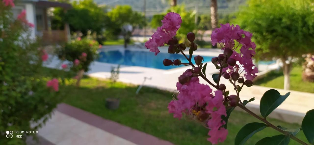 Green Garden Otel Kemer Exterior photo